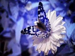 UnityTransformation Showcase 3